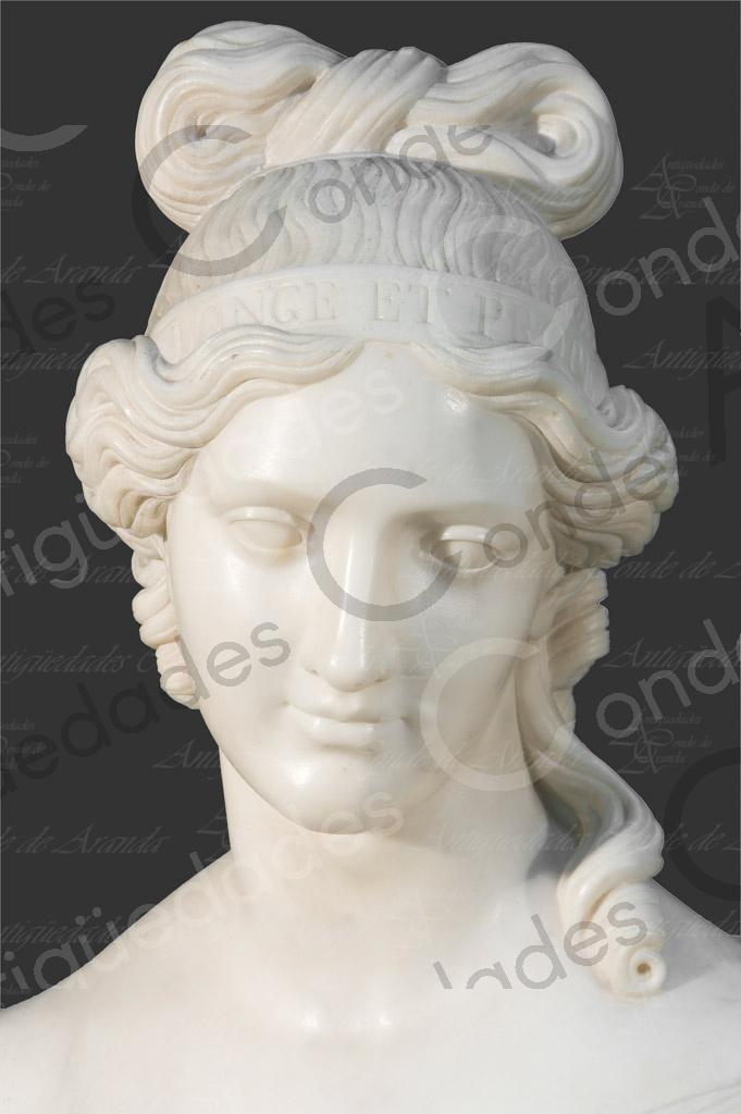 BUSTO FEMENINO