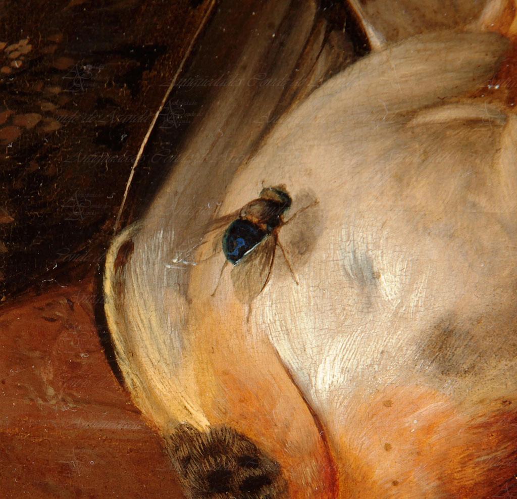 BODEGON DE CAZA - ESCUELA FLAMENCA