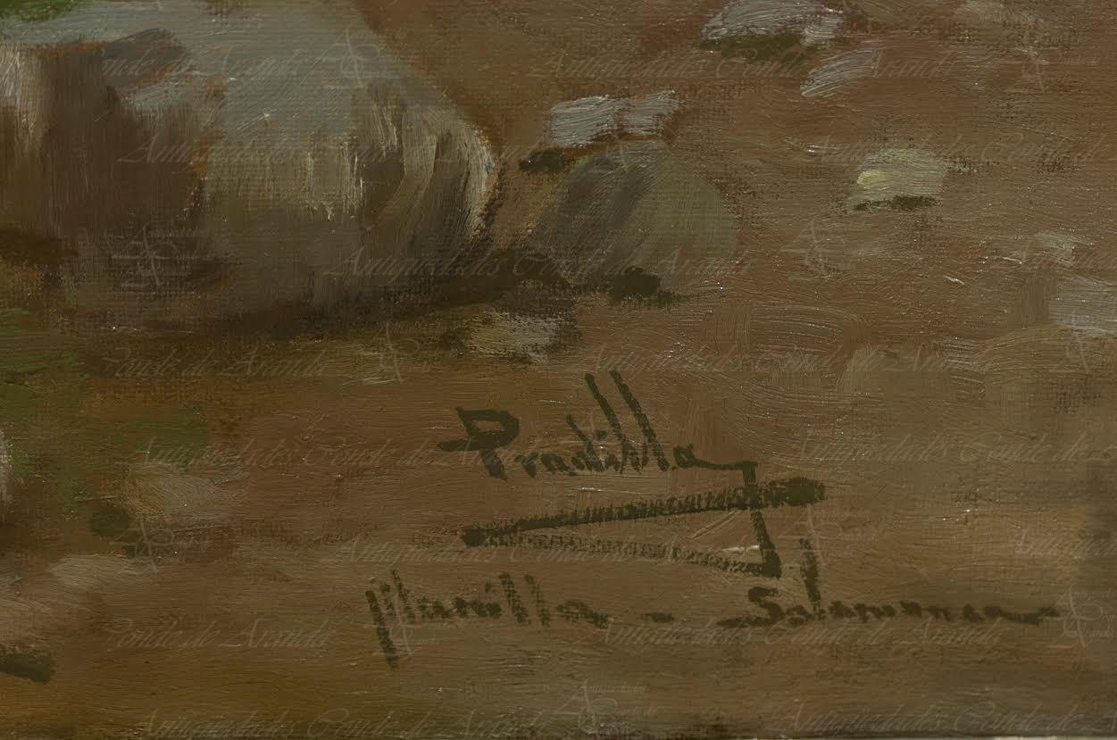 Gitanilla<br> MIGUEL PRADILLA GONZÁLEZ - Imagen 8